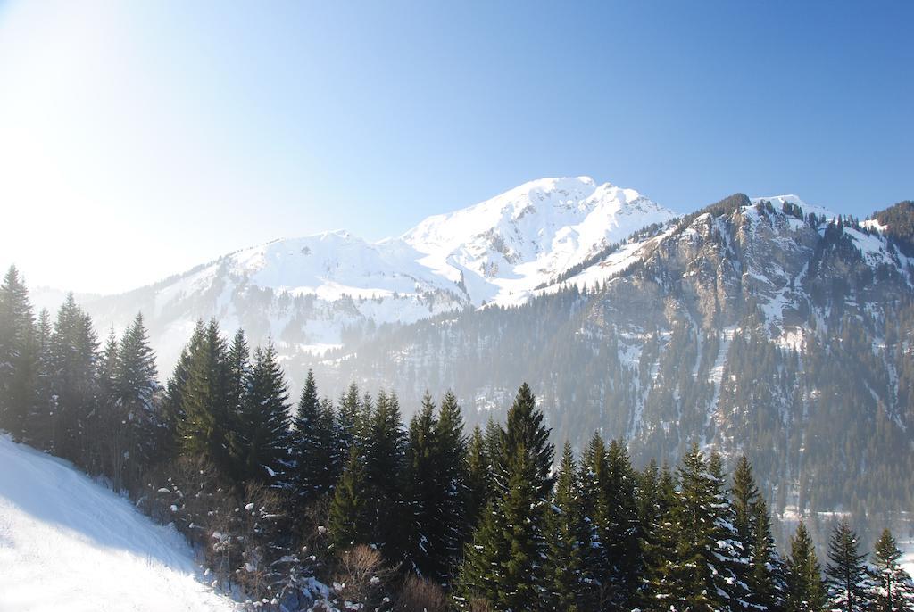 Hotel Les Combelles Chatel Bagian luar foto